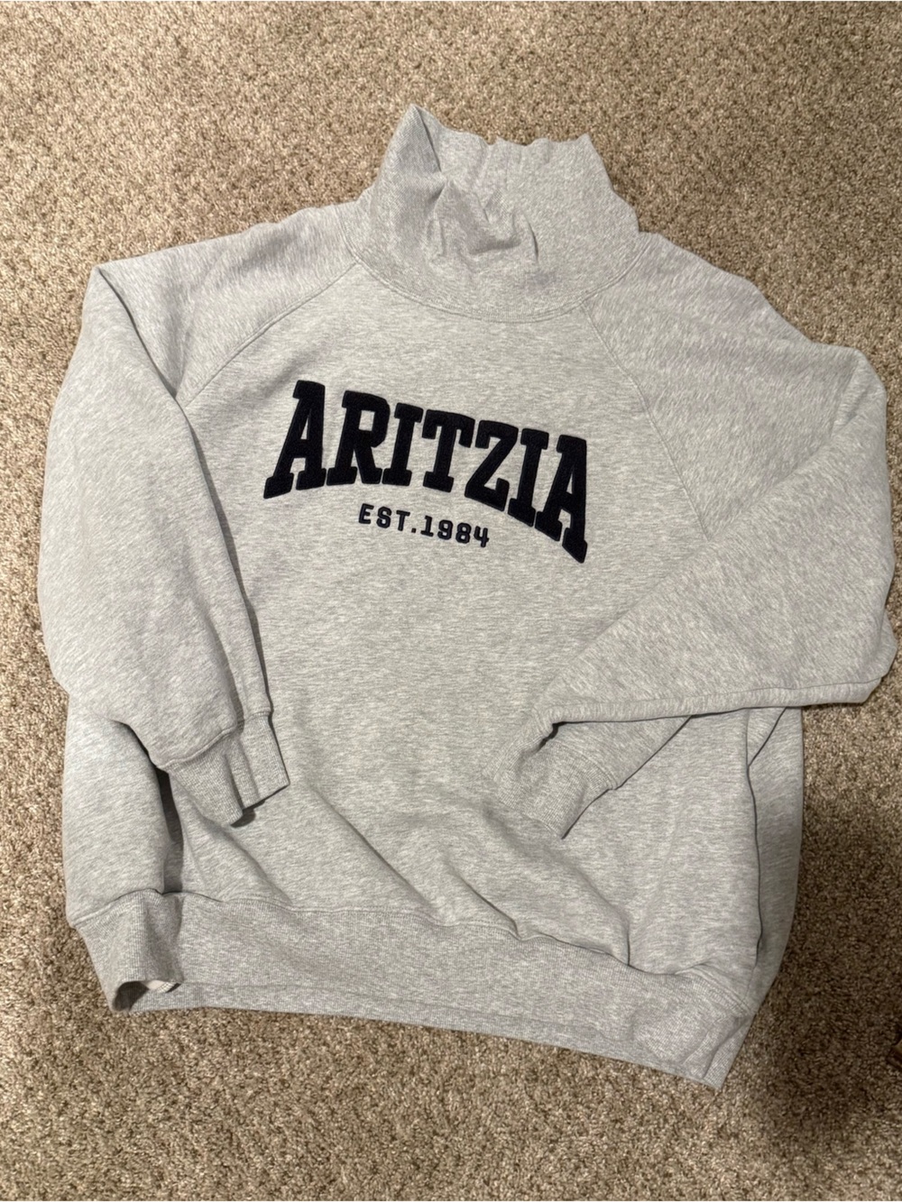 Aritzia Sweatfleece Mega Fit Mock Neck Sweatshirt